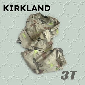 👍👍*GUC* KIRKLAND | 3T | Toddler PJ Green with dinosaurs - 2 pieces